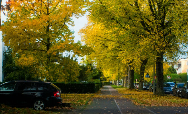 défi automne